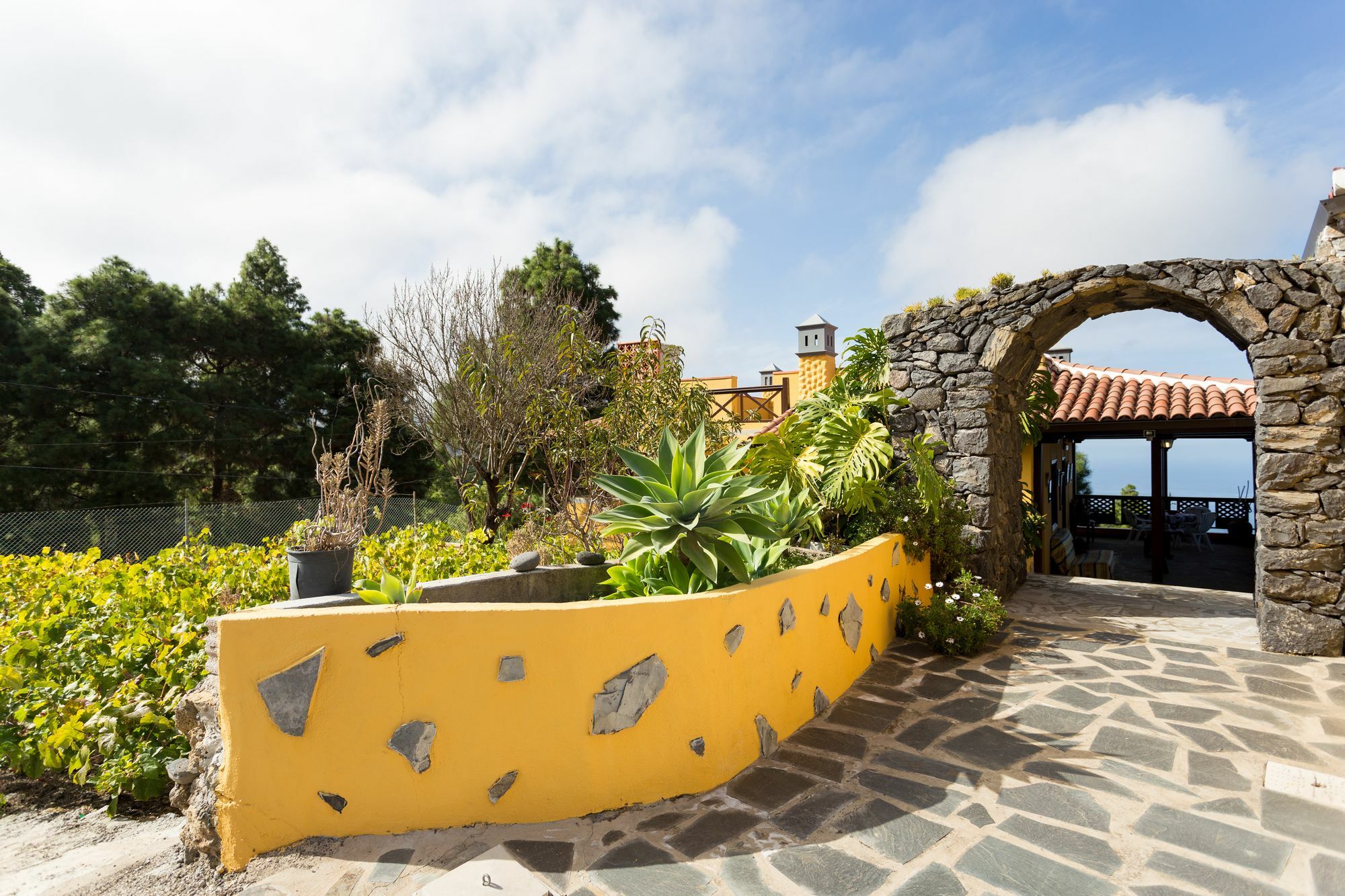 Finca Casa Yaya Icod De Los Vinos Eksteriør billede