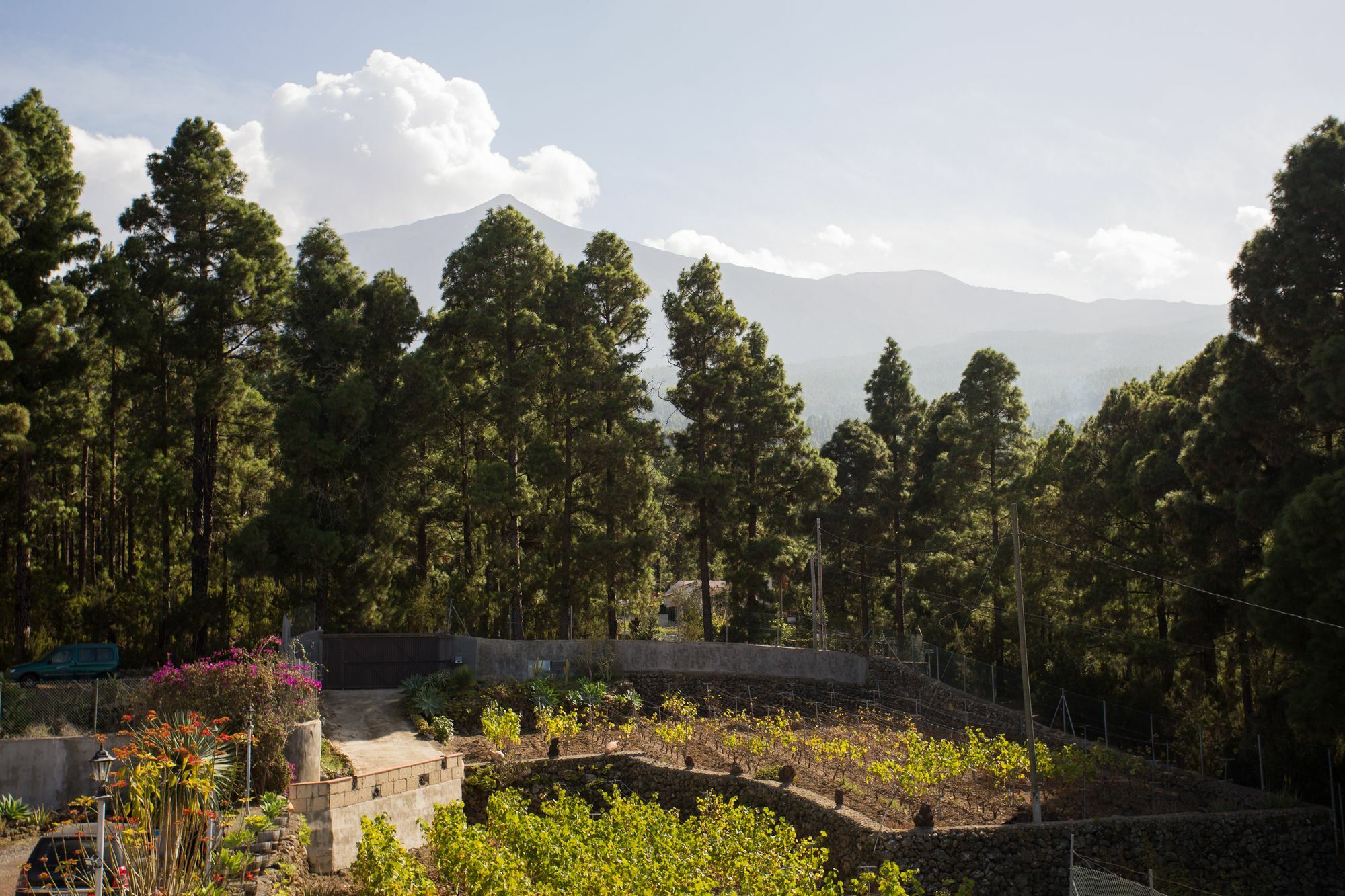 Finca Casa Yaya Icod De Los Vinos Eksteriør billede