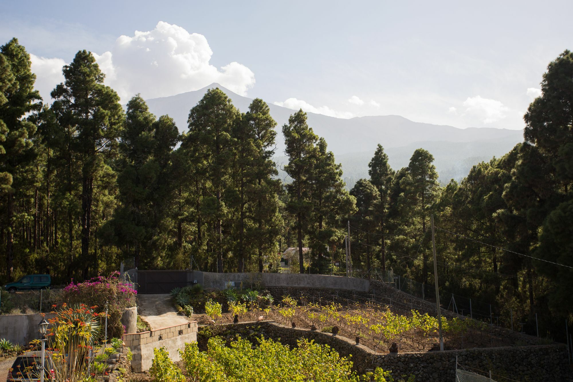 Finca Casa Yaya Villa Icod De Los Vinos Eksteriør billede