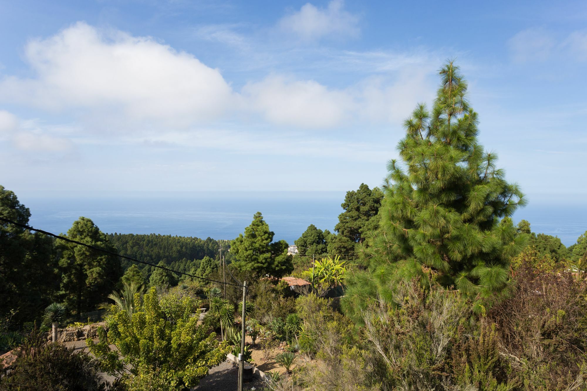 Finca Casa Yaya Villa Icod De Los Vinos Eksteriør billede